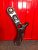 http___export_content_baz_on_ru_pub_c4101_productphoto_0000_03_0000_03_315__http___export_content_baz_on_ru_pub_c4101_productphoto_0000_03_0000_03_1.j