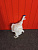 http___export_content_baz_on_ru_pub_c4101_productphoto_0000_04_0000_04_893__http___export_content_baz_on_ru_pub_c4101_productphoto_0000_04_0000_04_2.j